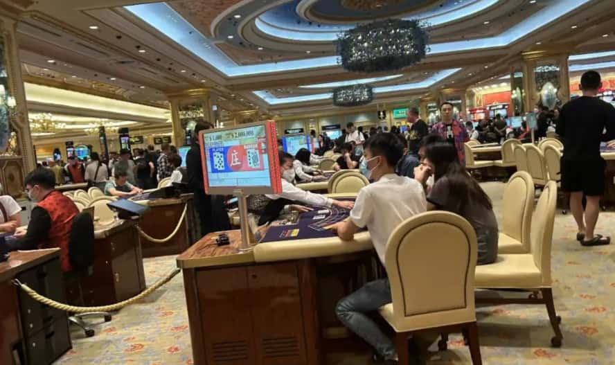 234056bpzxp9p3i9969n69 (1).jpg